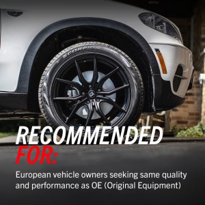 Mini Cooper Brake Kit - Front - PowerStop - Genuine GEOMET Coated Rotors + ECE-R90 Certified Pads - `02-`06
